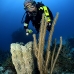 sponge_vase_pat_jar_v_0318_cub6456.jpg